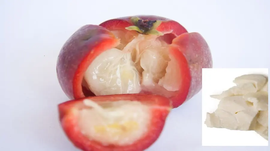 Burro di Kokum proprietà e benefici