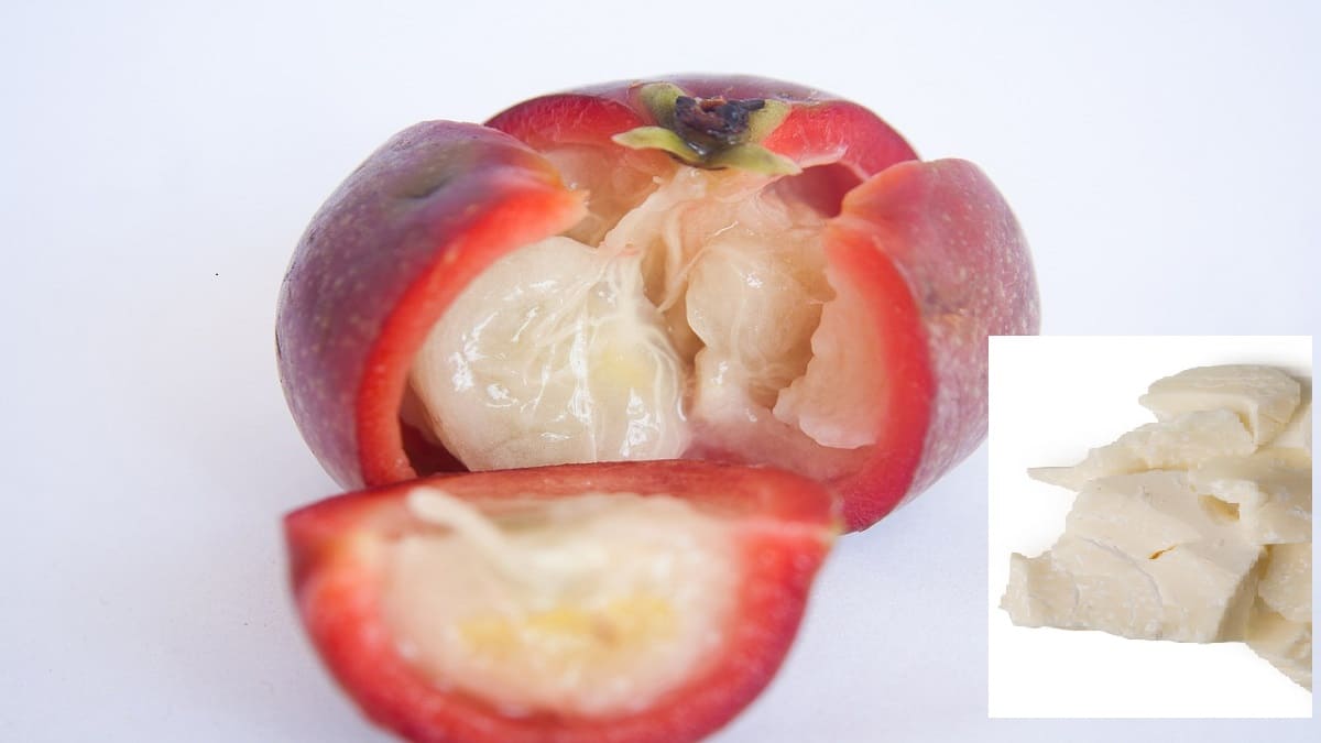 Burro di Kokum proprietà e benefici