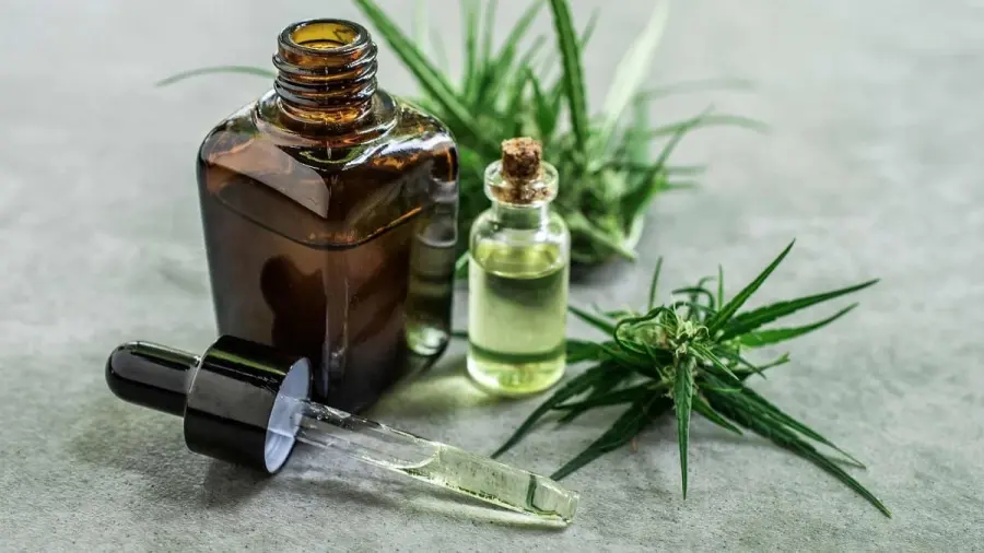 Olio di Cannabis un potente alleato contro Smagliature e Infiammazioni della pelle