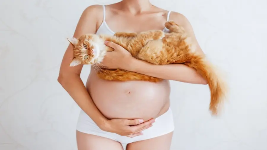 Cosa sapere sulla toxoplasmosi: forum per mamme