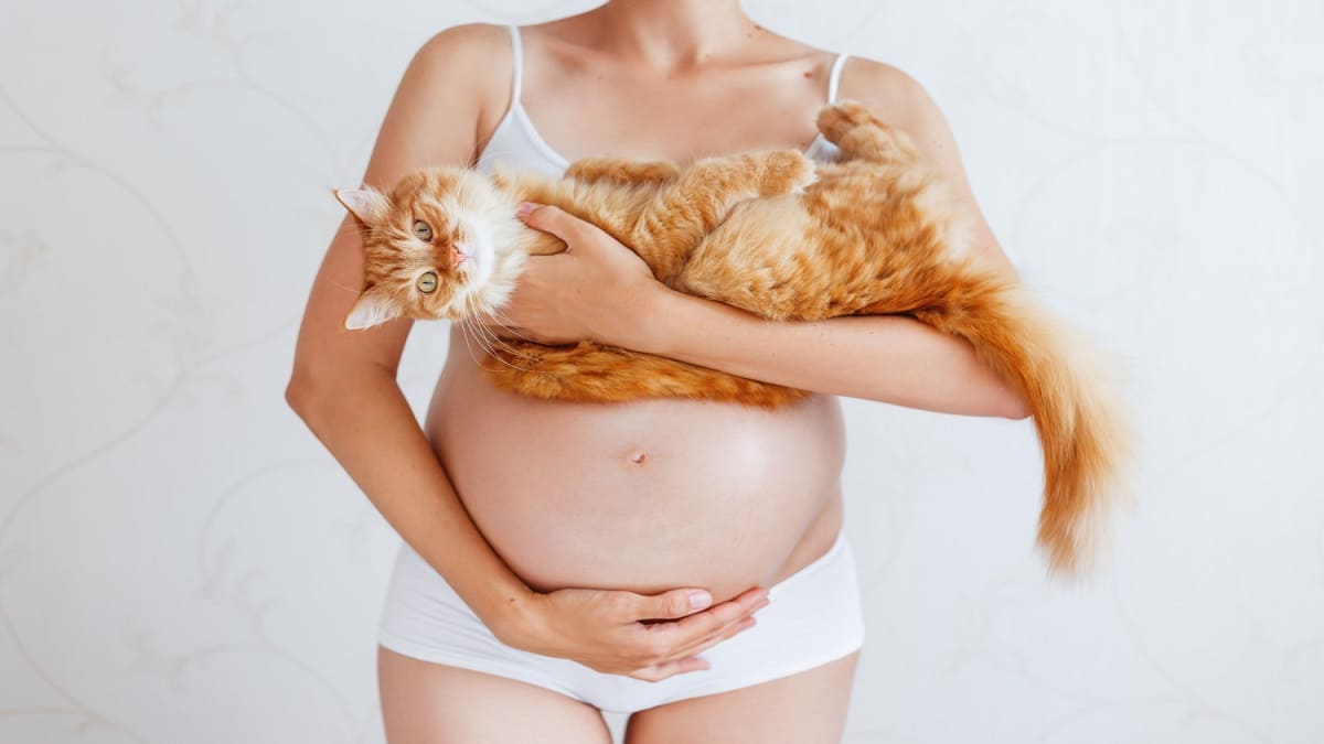 Cosa sapere sulla toxoplasmosi: forum per mamme