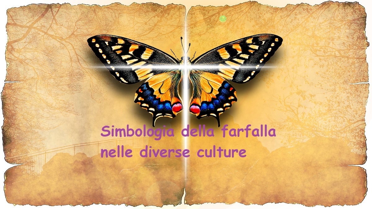 Significato della farfalla: quando vedere una farfalla significa essere visitati da un’anima defunta