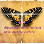 Significato della farfalla: quando vedere una farfalla significa essere visitati da un’anima defunta