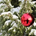 Come addobbare il tuo giardino a tema natalizio