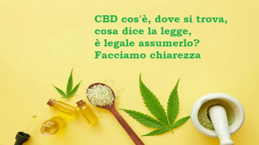 CBD cos'è, dove si trova, cosa dice la legge, è legale assumerlo? Facciamo chiarezza