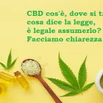 CBD cos'è, dove si trova, cosa dice la legge, è legale assumerlo? Facciamo chiarezza