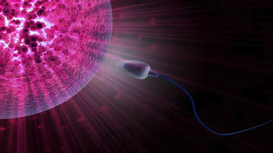 Infertilità femminile cause e cosa fare