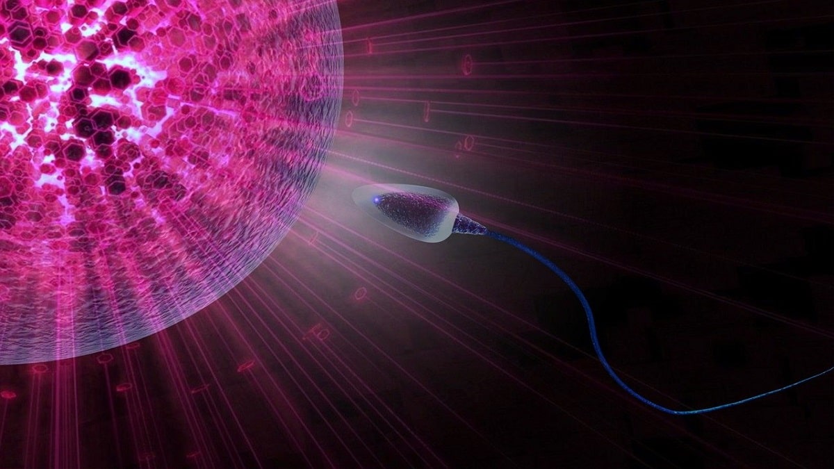 Infertilità femminile cause e cosa fare