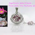 Significato della Primula: simbolo del Fiore della Vita Richiamo degli Angeli
