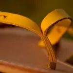 Come vengono realizzate le scarpe artigianali?