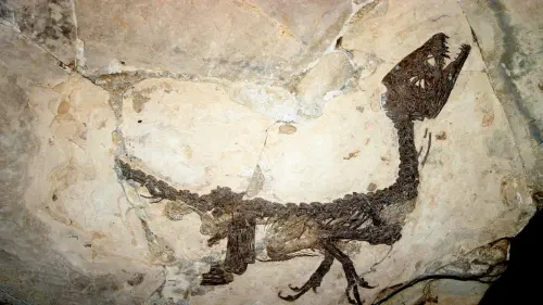 Ciro, il dinosauro più famoso d’Italia
