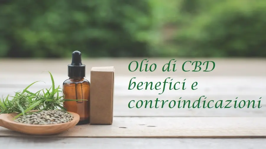 Olio CBD benefici e controindicazioni