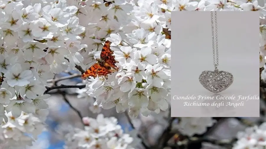 Ciondolo Prime Coccole Farfalla: significato della farfalla