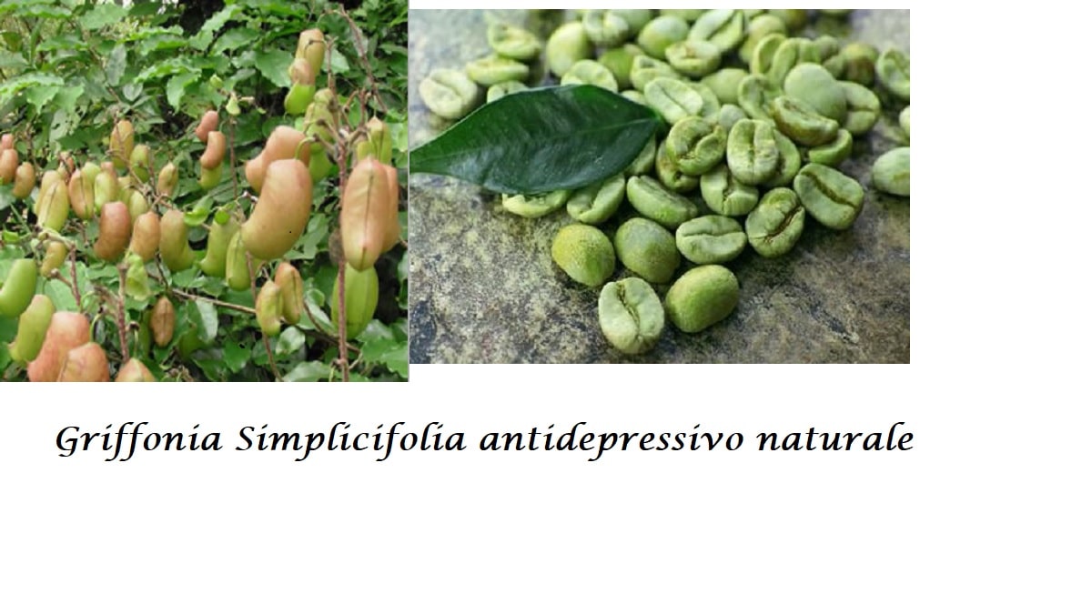 Griffonia antidepressivo naturale