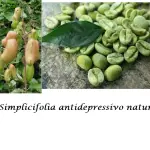Griffonia antidepressivo naturale