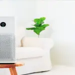 Purificatore aria: come ed ogni quanto pulire i filtri e il sensore