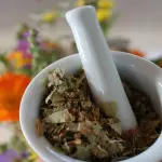 Professione naturopata: scuola di naturopatia