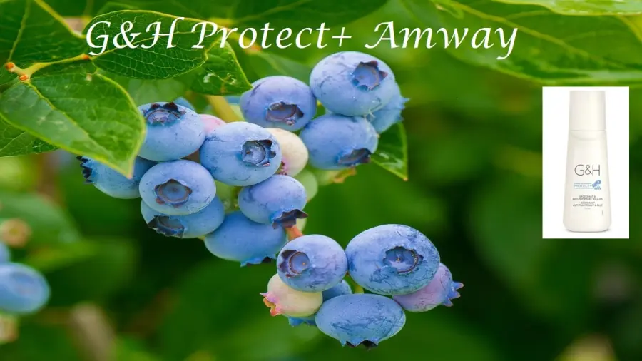 Amway si riconferma leader mondiale nella vendita di prodotti cosmetici e nutrizionali