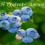 Amway si riconferma leader mondiale nella vendita di prodotti cosmetici e nutrizionali