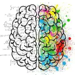 Concentrazione e memoria con Onestack mental force