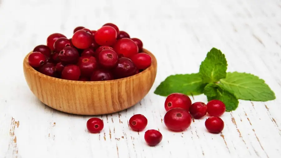 Cranberry: proprietà e benefici per il corpo