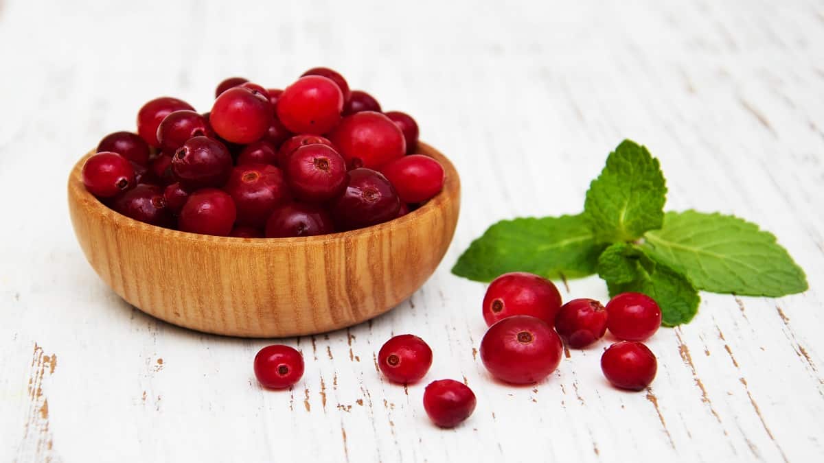 Cranberry: proprietà e benefici per il corpo