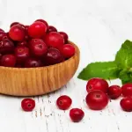 Cranberry: proprietà e benefici per il corpo