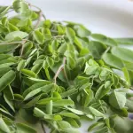 Moringa Oleifera proprietà, benefici e usi di questo superfood