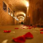 Come illuminare la cantina