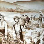 Oli Essenziali la mia presentazione tramite un'intervista a Giorgio Lombardelli