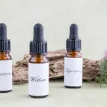 Fiori di bach per i bambini e modalità di somministrazione