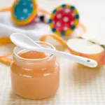 Come fare gli omogeneizzati in casa breve guida