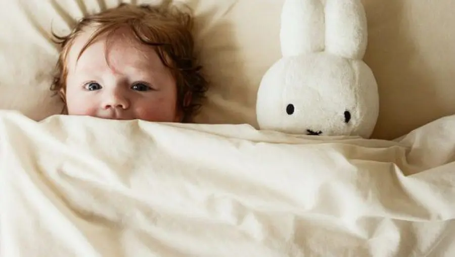 Regole del sonno per bambini, ecco cosa dicono i pediatri
