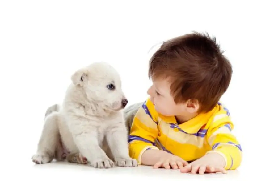 Bambini e stress: un aiuto dagli animali domestici