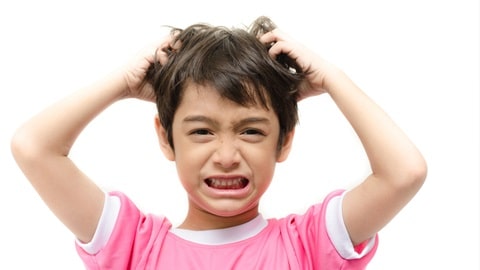 Profilassi pediculosi: cosa fare in caso di pidocchi