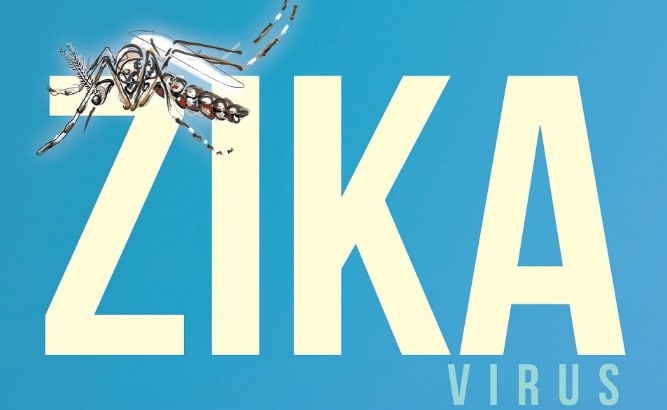 Zika: il virus che danneggia i neonati