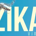 Zika: il virus che danneggia i neonati