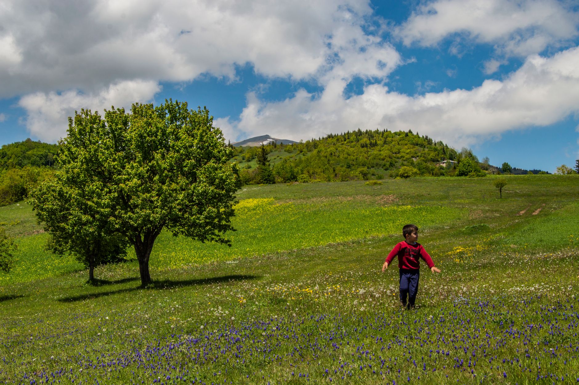 Difese immunitarie bambini: come rafforzarle