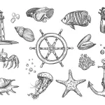 Disegni animali del mare da colorare