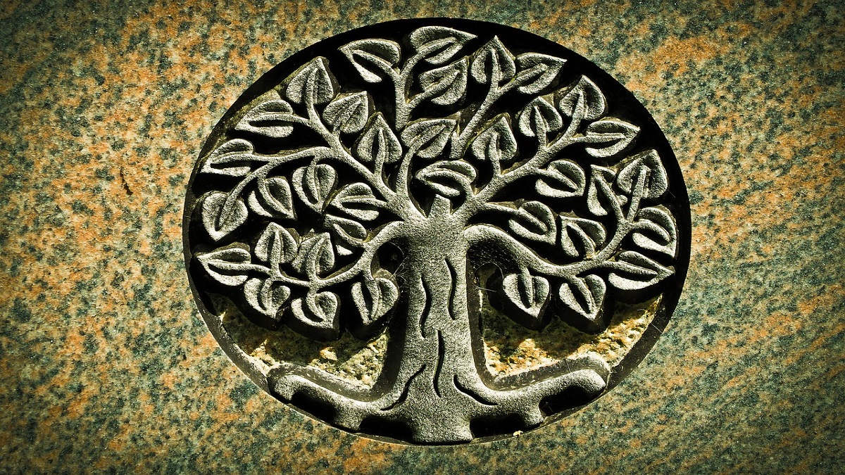 Significato Albero Della Vita Cattolico Significato e simbologia dell'albero della vita