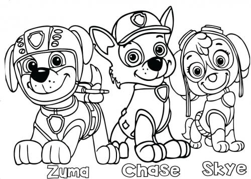 Paw Patrol Disegni Da Stampare E Colorare